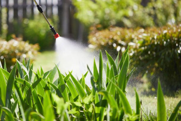 24/7 Emergency Mosquito Control experts in Hidden Valley, IN